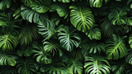 Green tropical plant wallpaper featuring lush leaves and vibrant foliage for interior decoration