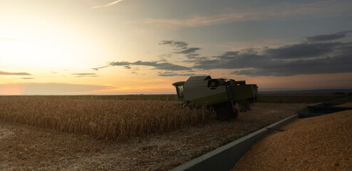 Fototapeta premium Harvest work. A modern combine harvester working a wheat field