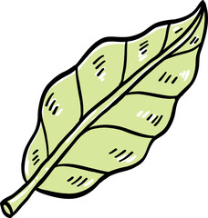 Playful hand-drawn illustration of a single green leaf with visible veins and details, featuring a simple and modern cartoon-style design