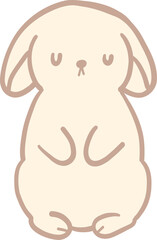 Cute Rabbit Character