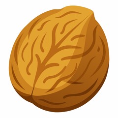 A walnut illustration isolated on white background