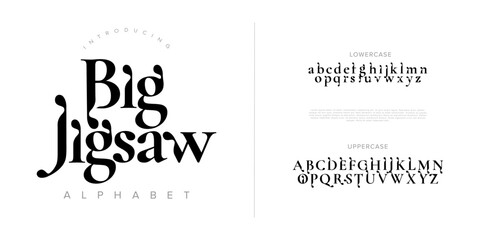 Jigsaw Elegant Font Uppercase Lowercase And Number. Classic Lettering Minimal Fashion Designs. Typography modern serif fonts regular decorative vintage concept. vector illustration