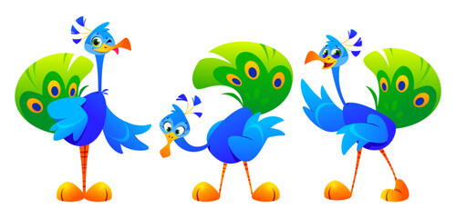 Cute peacock cartoon character set with bright blue bodies, vibrant green tail feathers and orange beak. Expressive bird mascots in different poses - standing tall, leaning, walking and waving wing.