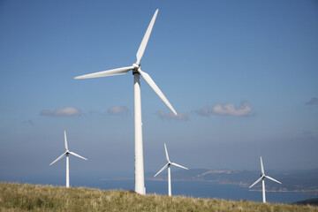 Many wind turbine in meadow. Wind turbines installed in open areas. Wind turbines as alternative energy sources