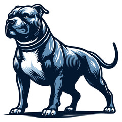 Pitbull vector and illustrations