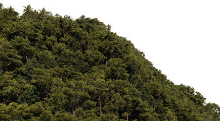 3D render mountains on transparent background
