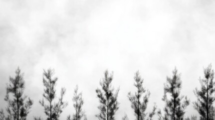 Gray Sky, Forest Silhouette