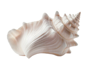 Pearl-colored seashell, transparent background PNG format, perfect for natural design and decoration use, fresh style, beautifully presented.