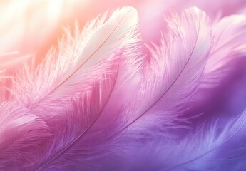 Obraz premium Soft and Delicate Feathers in Gradient Colors of Pink and Purple with a Dreamy and Ethereal Background for Gentle and Serene Visual Concepts
