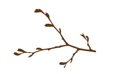 
a brown tree branch on a white background,
