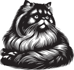 Persian cat vector in black and white
