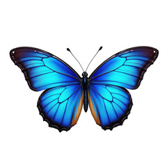 blue butterfly isolated on a white background 