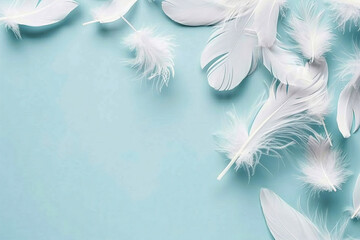 Naklejka premium White fluffy feathers softly scattered across smooth pale teal background, creating delicate, airy composition
