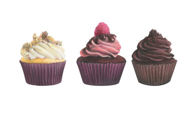 Hand drawn Cupcake