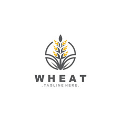 Wheat logo concept, agriculture nature wheat grain logo template