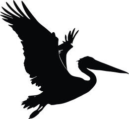 Silhouette Pelican Animal fly black color only full body, flying Pelican vector silhouette isolated on white background.