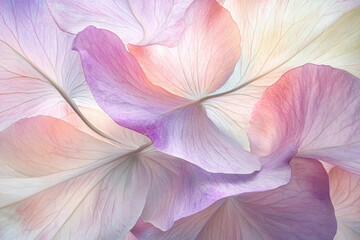 Fototapeta premium Abstract Petal Composition with Soft Pastel Colors and Gentle Flow 