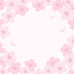 spring vector background with pink cherry blossoms, sakura flowers frame