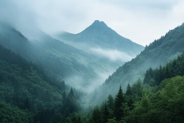 Obraz premium Majestic mountains and a dense forest landscape, with a misty atmosphere, perfect for nature photography.