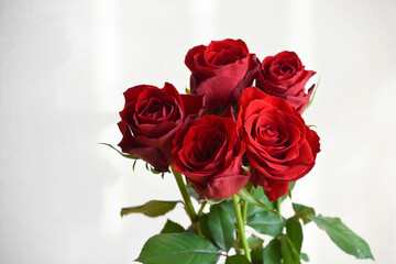 赤い薔薇