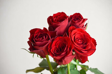 赤い薔薇