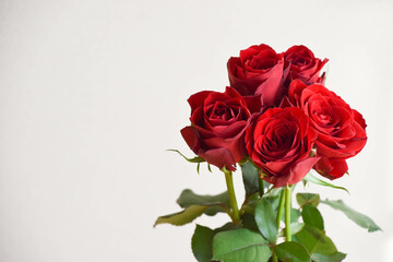 赤い薔薇