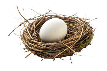 one white egg in the nest isolated on transparent background
