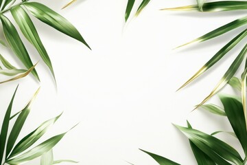 Tropical leaves frame on white background.