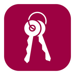 Keys Icon
