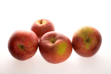 Apfel,  Malus domestica, Apfelsorte Wellant
