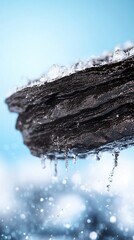 Icicles melting from rock, winter scene
