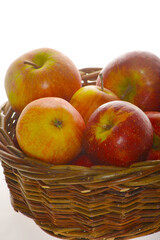 Apfel,  Malus domestica, Wellant, Rubinette,  Gala im  Korb