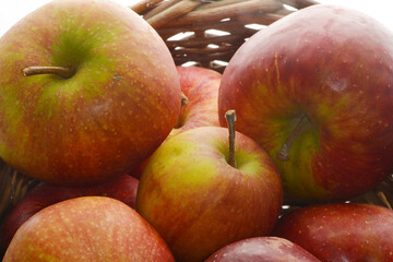 Apfel,  Malus domestica, Wellant, Rubinette,  Gala im  Korb