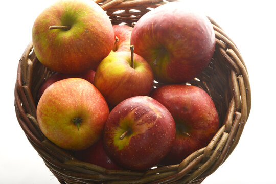 Apfel,  Malus domestica, Wellant, Rubinette,  Gala im  Korb