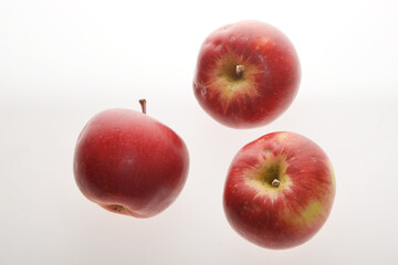 Apfel,  Malus domestica,  Rubinola