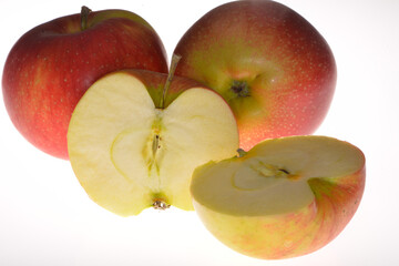 Apfel,  Malus domestica, Summerred