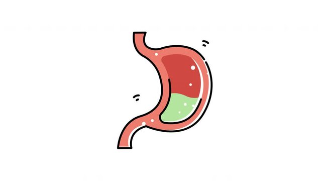 icon animation Of a human stomach