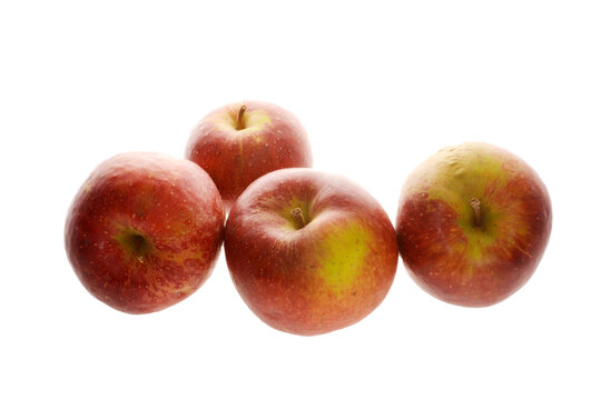 Apfel,  Malus domestica, Apfelsorte Wellant