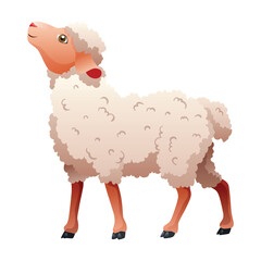 Small cartoon sheep. Lamb flat vector illustration. Funny baby sheep with curly wool. Farm animal art isolated on white background