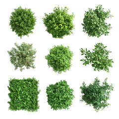 Obraz premium Variety of Fresh Green Plants Displayed in a Grid Layout Showcasing Diverse Foliage and Textures for Nature and Garden Themes