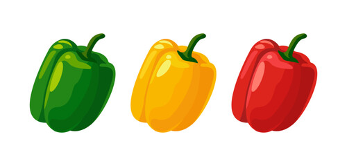 Sweet pepper in three kinds, red, yellow and green fresh pepper Vector illustration of ripe vegetables on white background