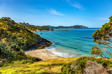 Elliot Bay, North Island, New Zealand, Oceania.