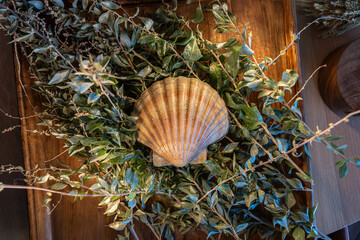 Un gros plan d'une coquille Saint-Jacques posée sur du feuillage, mettant en valeur sa texture et son aspect naturel.