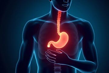 Outline of the human body in an X-ray with emphasis on the digestive system organs,esophagus and stomach,inflammation,illness or digestive problems,gastroesophageal reflux disease(GERD),stomach ulcers