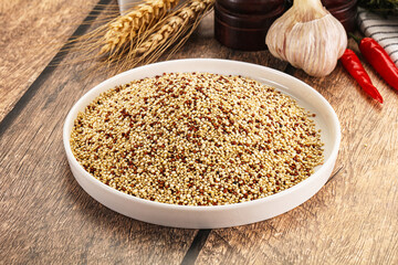 Raw dry quinoa seeds cereal