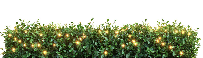 Green bush with glowing fairy lights, decorative garden plant clipart on transparent background