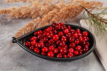 Ripe sweet sour cranberry heap