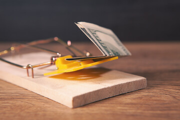 dollar bill with wooden trap