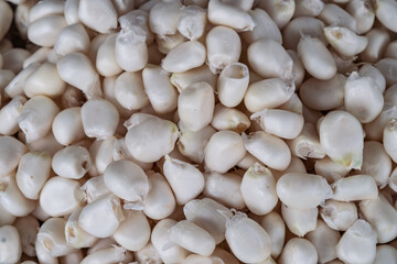Close-up of peeled white corn kernels, commonly used in Latin American cuisine. Essential...