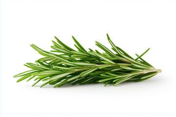 Fototapeta premium A whole rosemary sprig lies elegantly on a pristine white surface, illuminated by soft studio light, emphasizing its lush green needles and inviting aromatic appeal